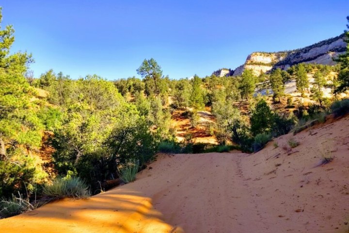 a river with a city in the background