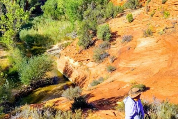 a group of people in a canyon