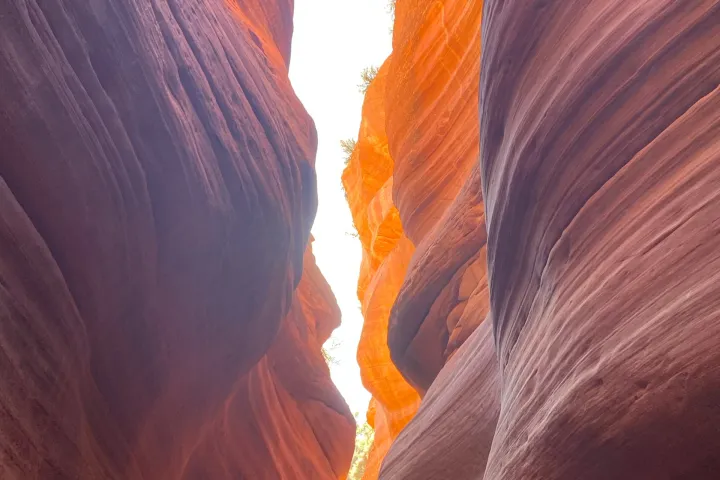 a close up of a canyon